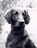Frida